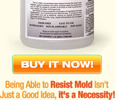 Being Able to Resist Mold Isn't Just a Good Idea, it's a Necessity!